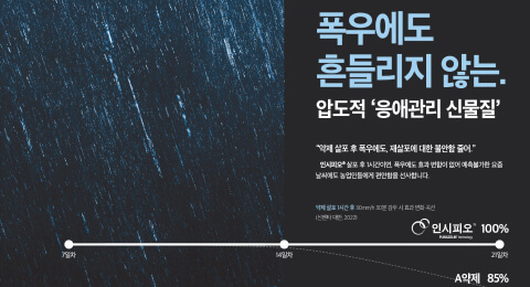 폭우에도 흔들리지 않는 효과