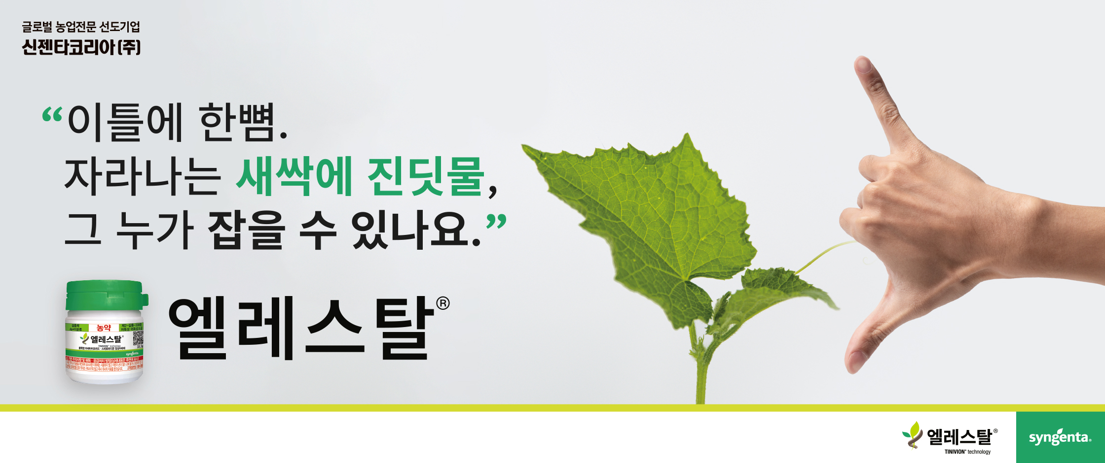 Syngenta | Elestal® |  저항성 진딧물 및 담배 가루이에 대한 솔루션 |