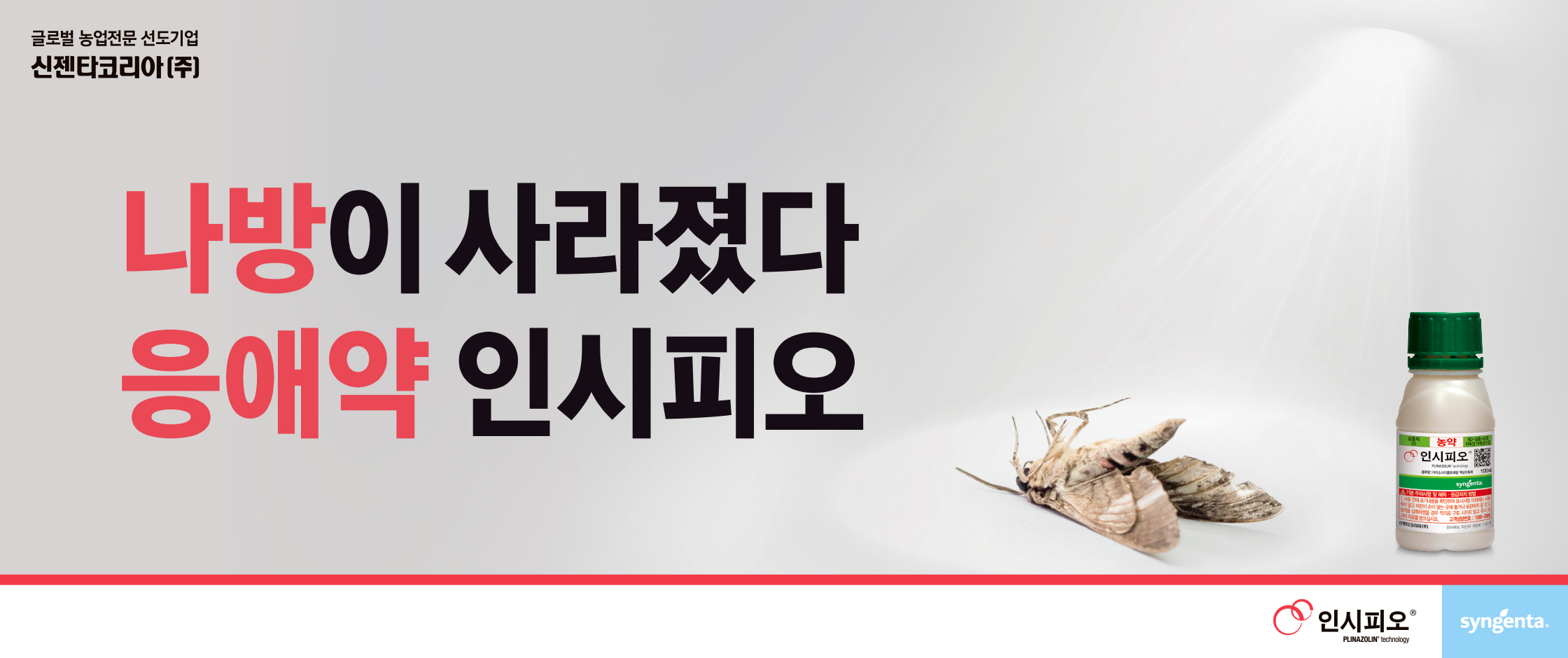 2024_인시피오_웹배너