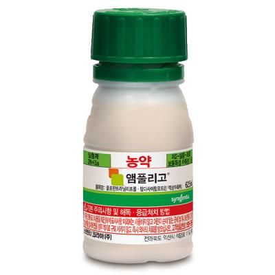 앰풀리고