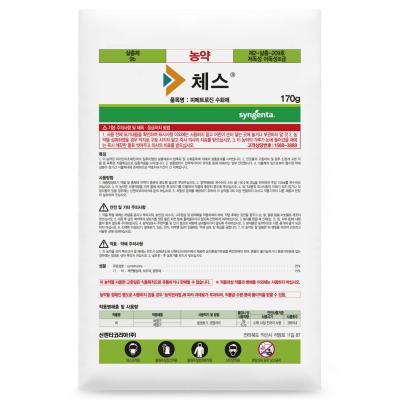 체스
