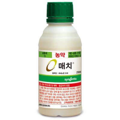 매치