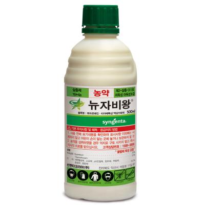 뉴자비왕