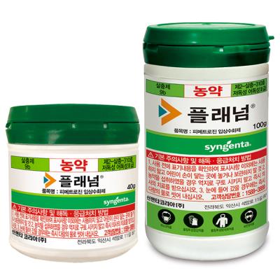 플래넘