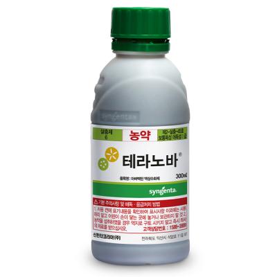 테라노바