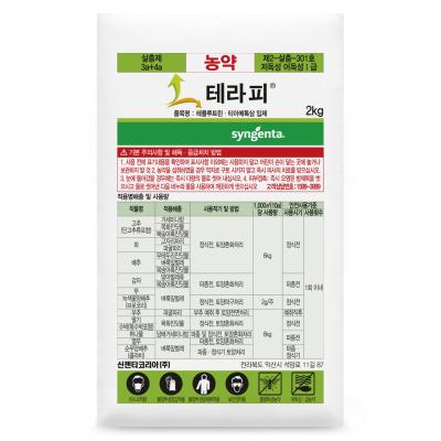 테라피