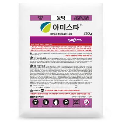 아미스타