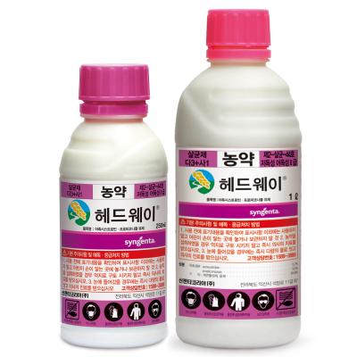 헤드웨이