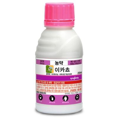 이카쵸
