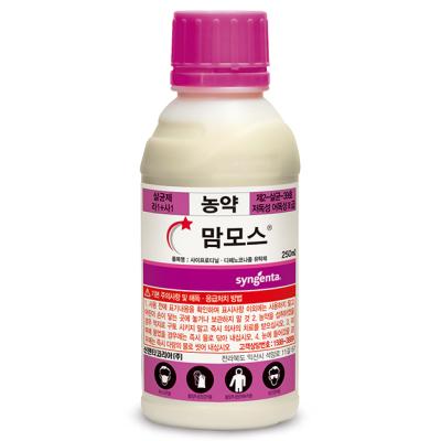 맘모스