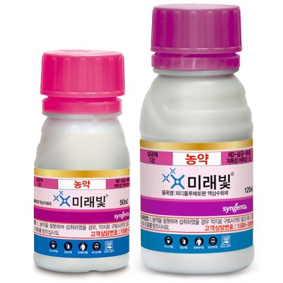 미래빛