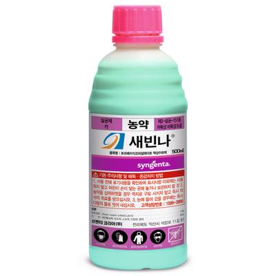 새빈나