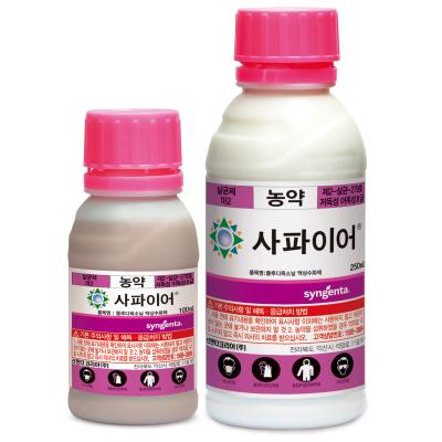 사파이어
