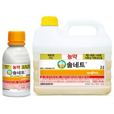 솔네트