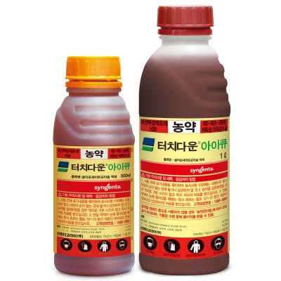 터치다운아이큐