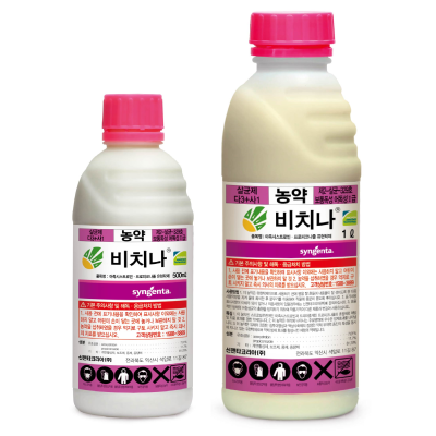 비치나_메인