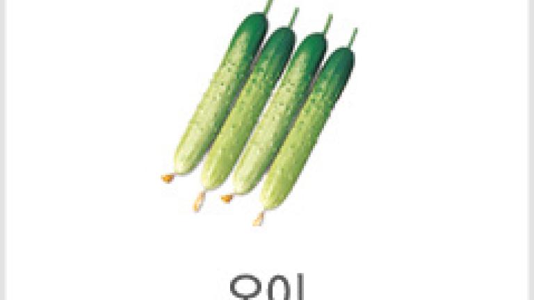 oi_2.jpg