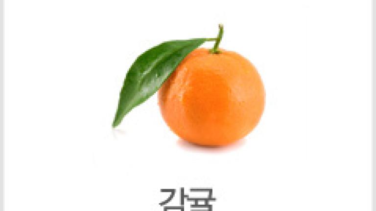 gamgyul_4.jpg